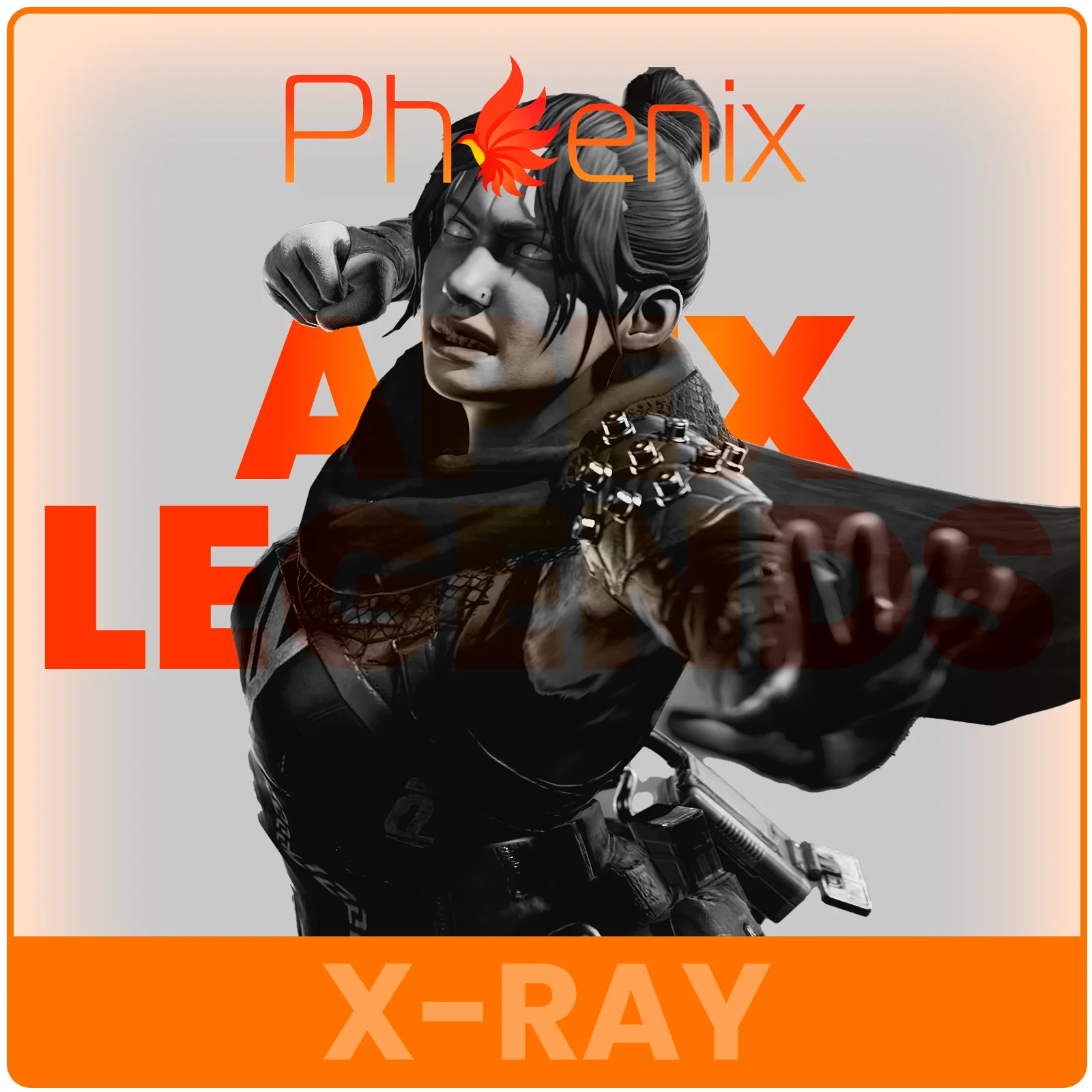 APEX X-RAY